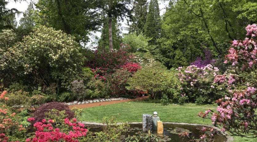 The Glades Woodland Garden, Canada